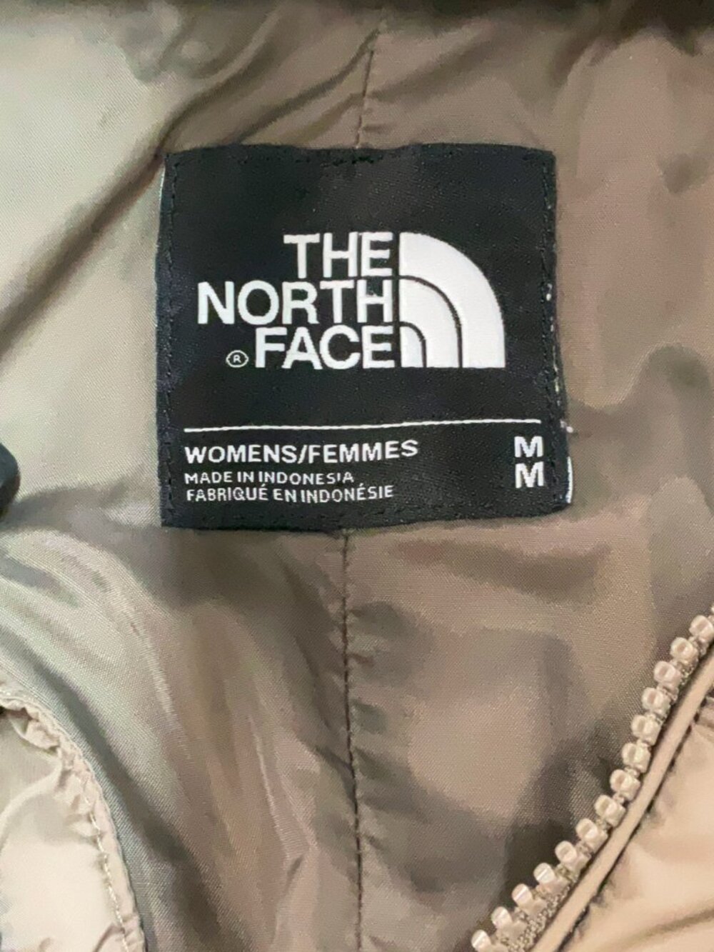 Jacket - Picture 4 of 4